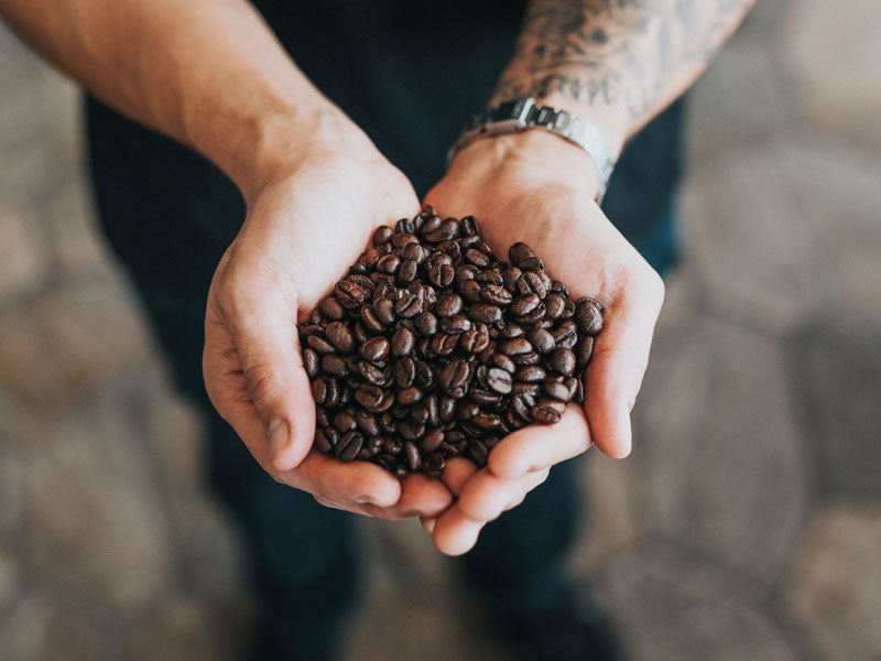 Fresh Coffee Beans